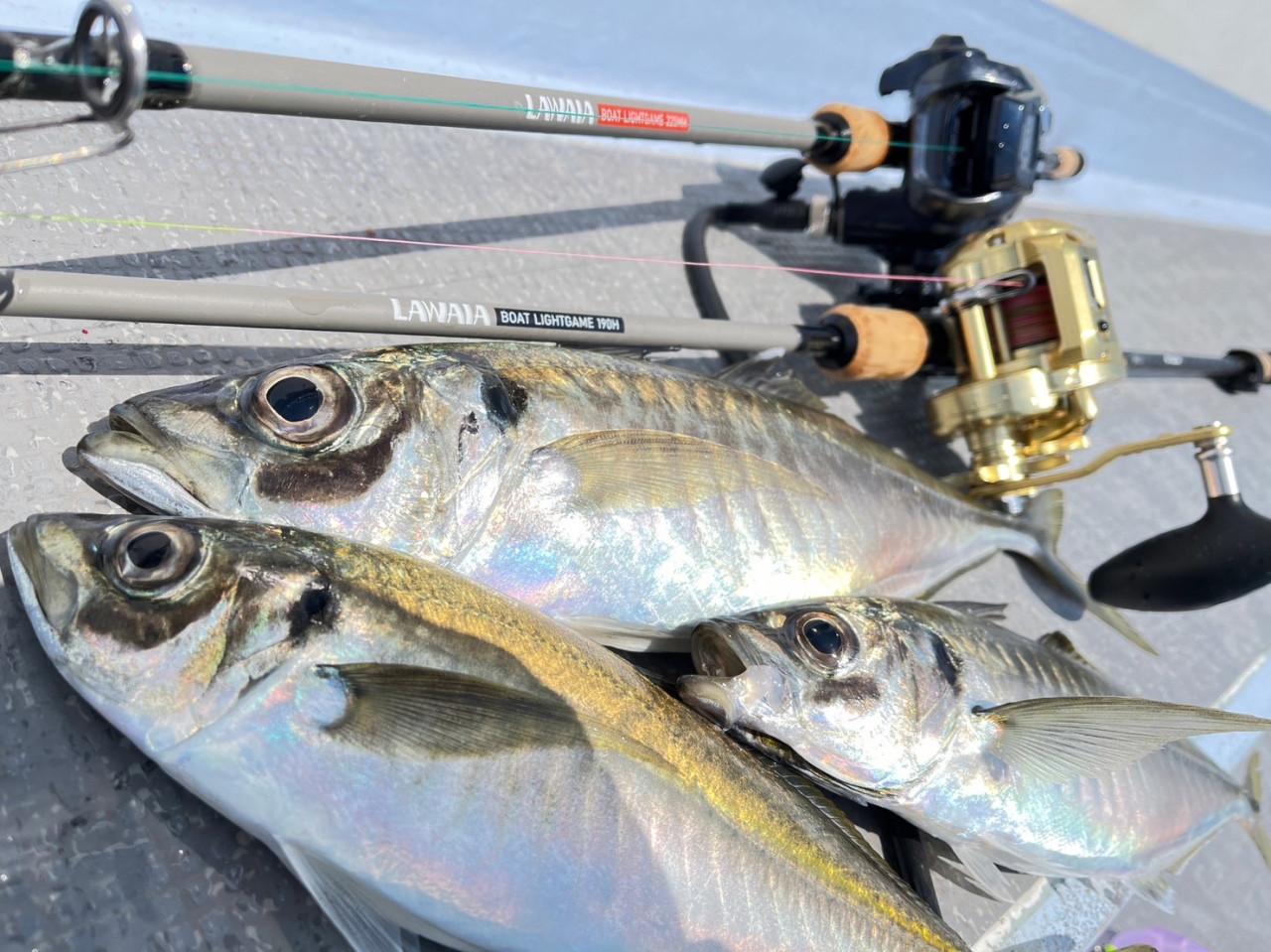 ロッドの別アングル写真